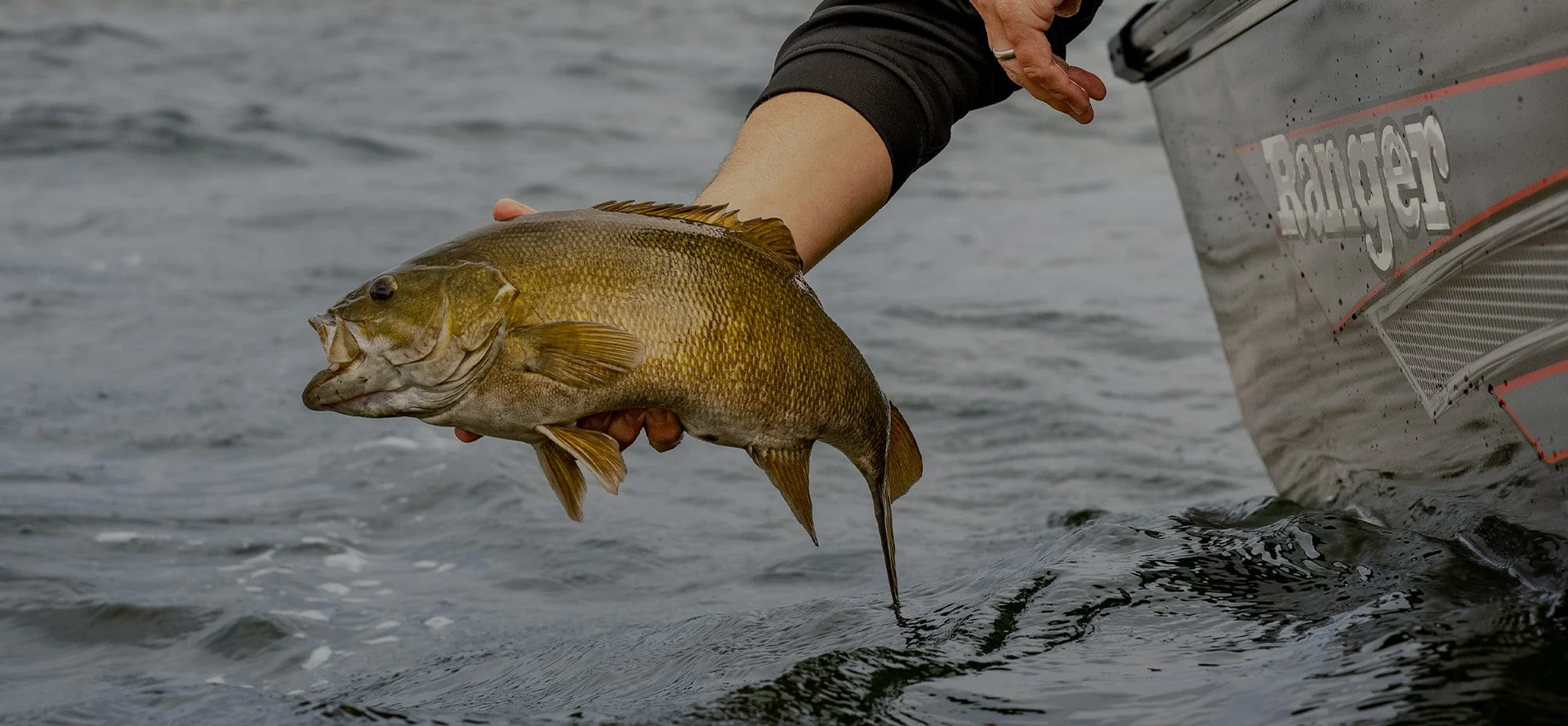 Welcome to Our Store